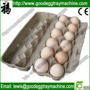 Egg Tray Drying Line