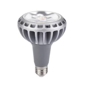 Quality hot sale led spotlight par30 led bulb high quality 30w led par30 for sale