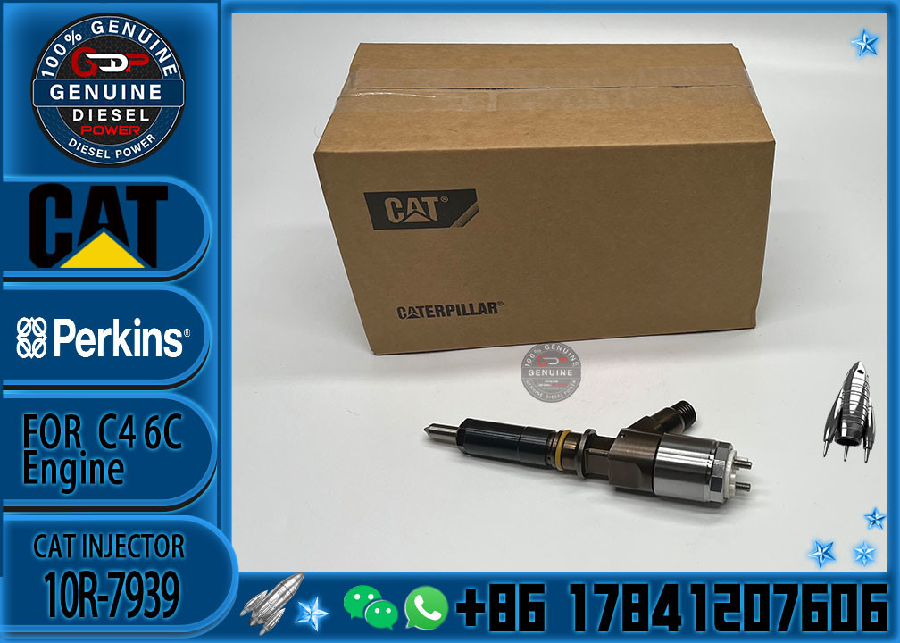 New Fuel Injector 10R-7669 10R-7667 321-1080 10R-7939 2645A742 2645A753 2645A747 292-3780 for Perkins CAT C6.6 C6.4