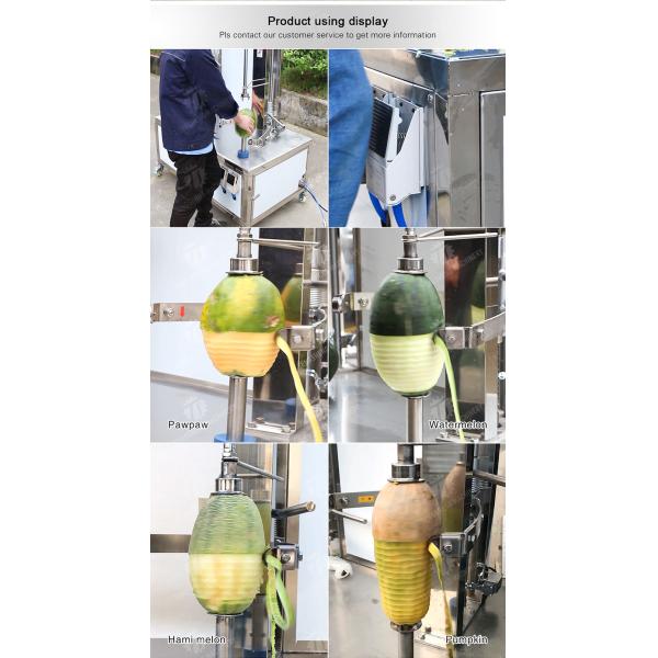 papaya chieh-qua pumpkin wax gourd pineapple Vegetable Vertical double cutter peeling machine processing production