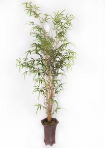 Quality Bamboo Realistic Fake Plants Real Trunk For Home Design Color Change Leaves for sale