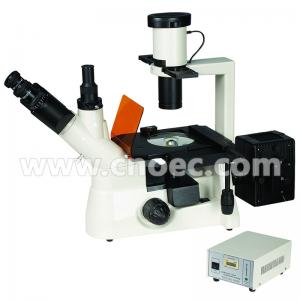 Quality Inverted 40x - 400x Fluorescence Microscope With Mercury Lamp A16.1102 for sale