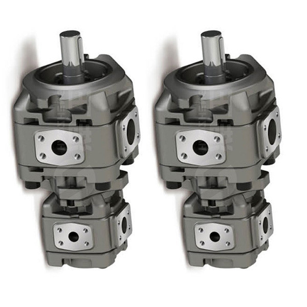 Metal Hydraulic Gear Pump Vickers 5001454-001｜GD505A121TBTBR20