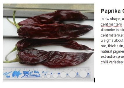 1 Year Shelf Life Sweet Paprika Pepper Dried Red Chilli Additive For Food Ingredient