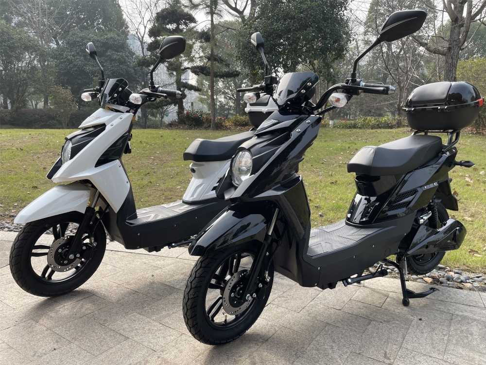 Two wheel Electric Moped For Adults TT 48V 20Ah Lithium Battery Electric Scooter