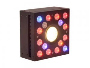 Quality 65W Full Spectrum LED Grow Lightst, DIY Module design,3W LED Chip,Red+Blue+White+IR for sale