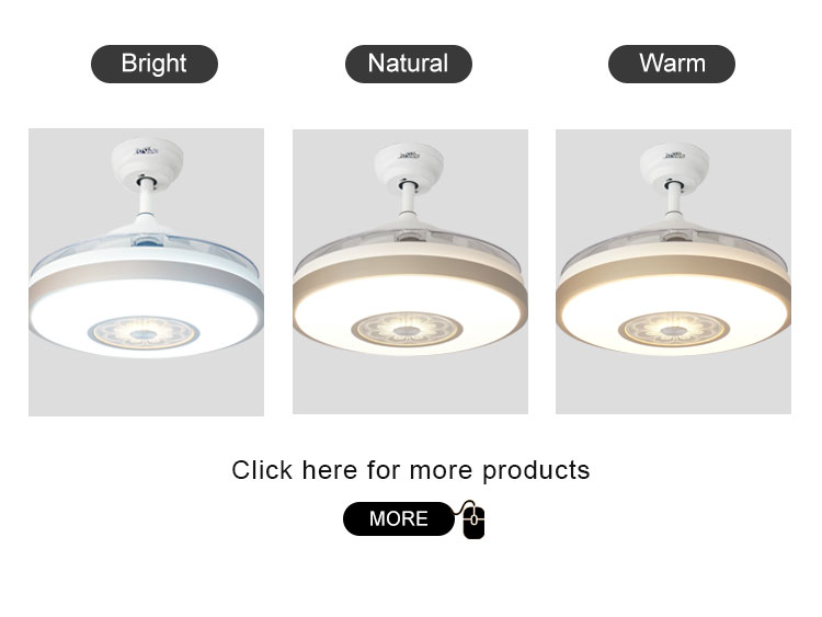Stylish Metal Indoor Ceiling Fan with Hidden Blades and Cooling Air LED Light Function