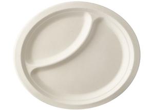 Quality 9 Inch 2 Compartment Biodegradable Sugarcane Bagasse Plates for sale
