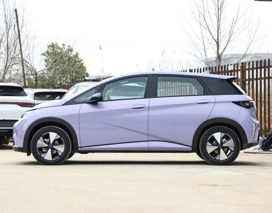 New BYD Dolphin 2023 420KM Fashion Version Small Car Pure Electric