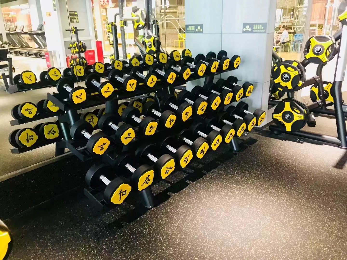 Wholesale Commercial Gym Fitness Equipment Urethane Dumbbells