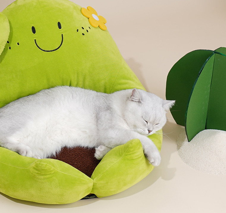 green cat bed