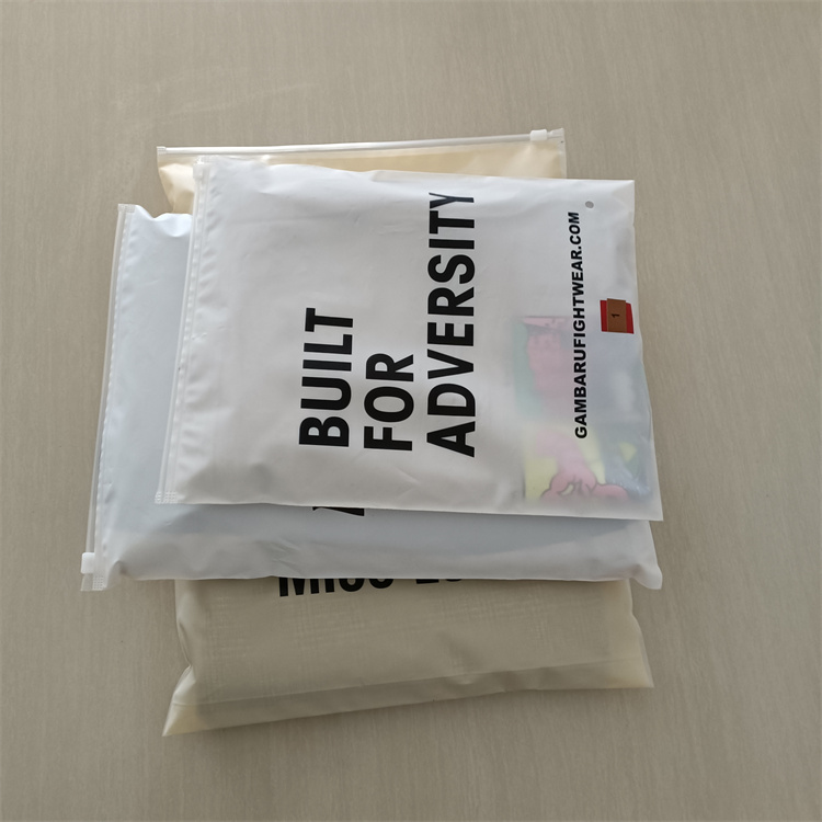 Customize Any Color Moisture Proof Polybags for Shoes and Clothing Frosted Zipper Bag