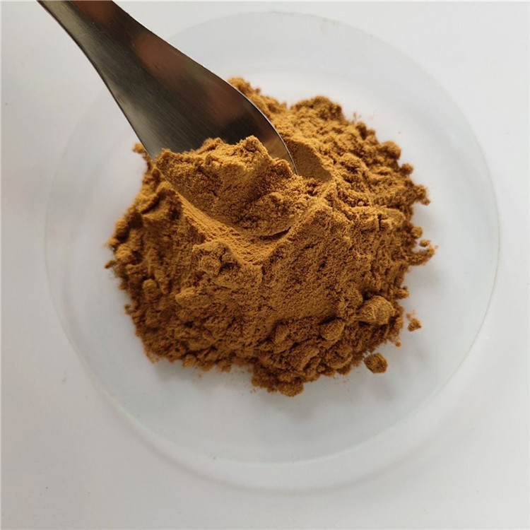 Villous Amomum Fruit Extract/villous amomum fruit
