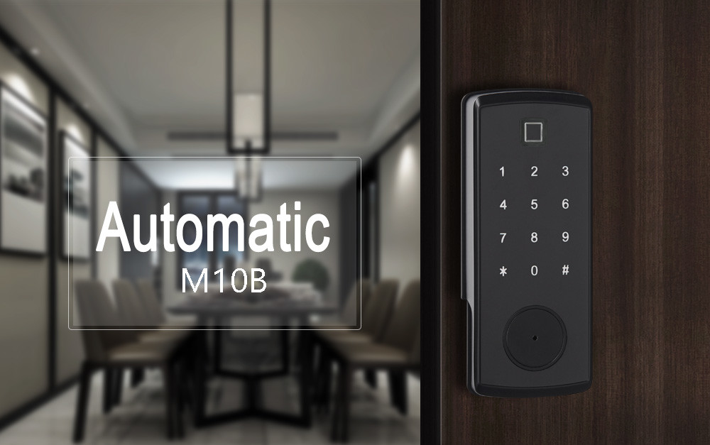 Fingerprint Zinc Alloy Electronic RIM Door Lock Without Mortise