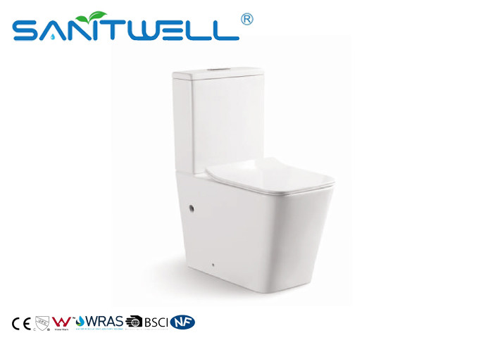 Rimless Toilet Ceramic Back to Wall Wash Down P Trap Bathroom Bowl With Soft Close Seat Close Coupled Toilets