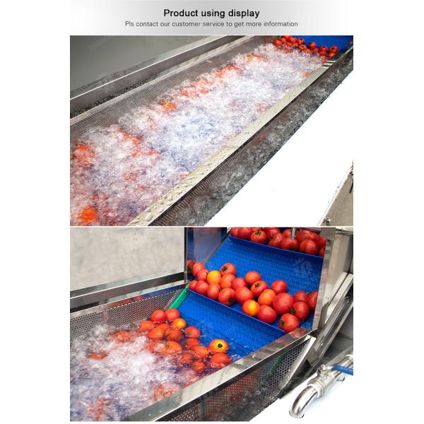 Leaves Leafy vegetables Cabbage varieties Herbs Fruiting vegetables Vegetables bubblewashing machine Wash Washer Washing Cleaning The dish washing