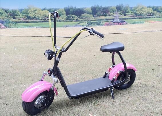 48V 500W 15 Inch Adults Off Road Electric Scooter For Outdoor Adventures