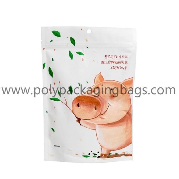 Custom Printed Plastic Snack Dry Fruit Resealable Zip Lock Stand Up Pouch
