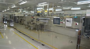 Monochrome White custom Segment HTN Positive LCD Display 3.3V 27PIN