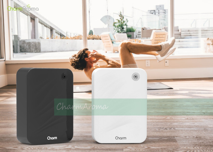 Lightweight Air Diffuser Fragrance Aroma Diffuser For Hotel Easy Installation