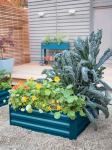 Pest Prevention 8x4ft Raised Metal Garden Bed