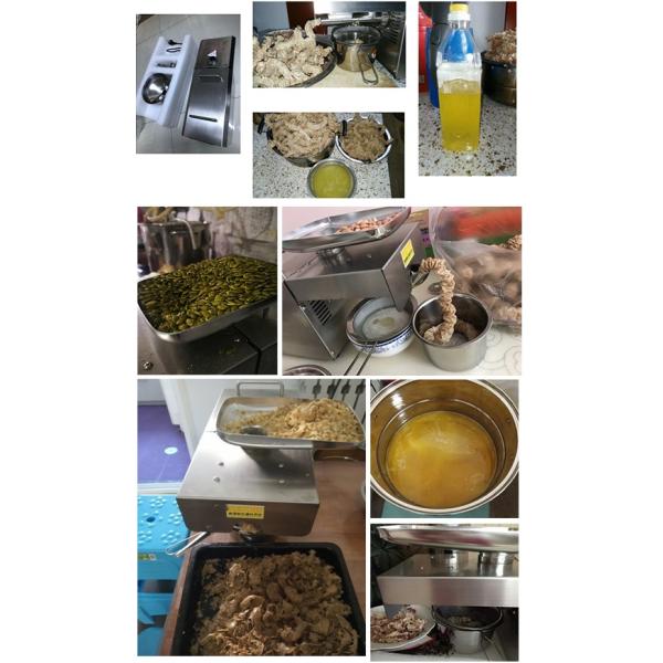 Energy Saving Corn Oil Processing Machine The Perfect Solution for Making Edible Oil at Home