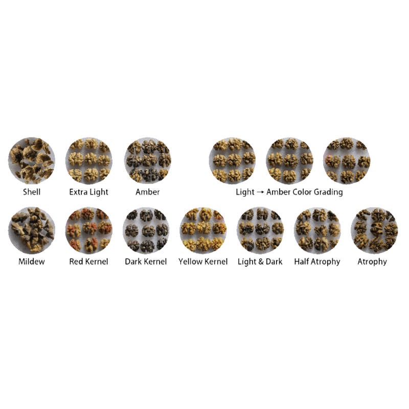 Inshell Walnut Grading Machine Precise Multi Grain Sorting Machine