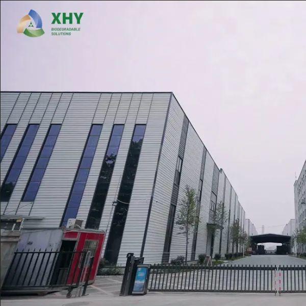 Biodegradable PE Coated Paper Roll Single or Double Side Coating Accept