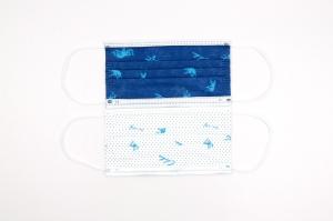 Quality Dustproof FDA 510K 3 Ply Disposable Earloop Face Mask for sale