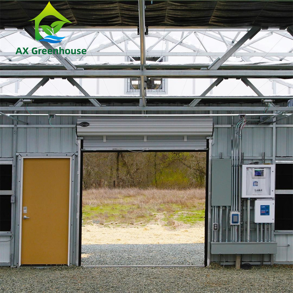 Agricultural Tunnel Fully Automated Light Deprivation Greenhouse Single span Blackout Greenhouse