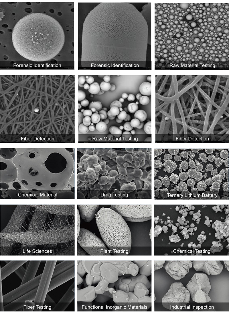 OPTO-EDU A63.7001 Tungsten Filament Scanning Electron Microscope SE BSE 150000x 10nm@15KV