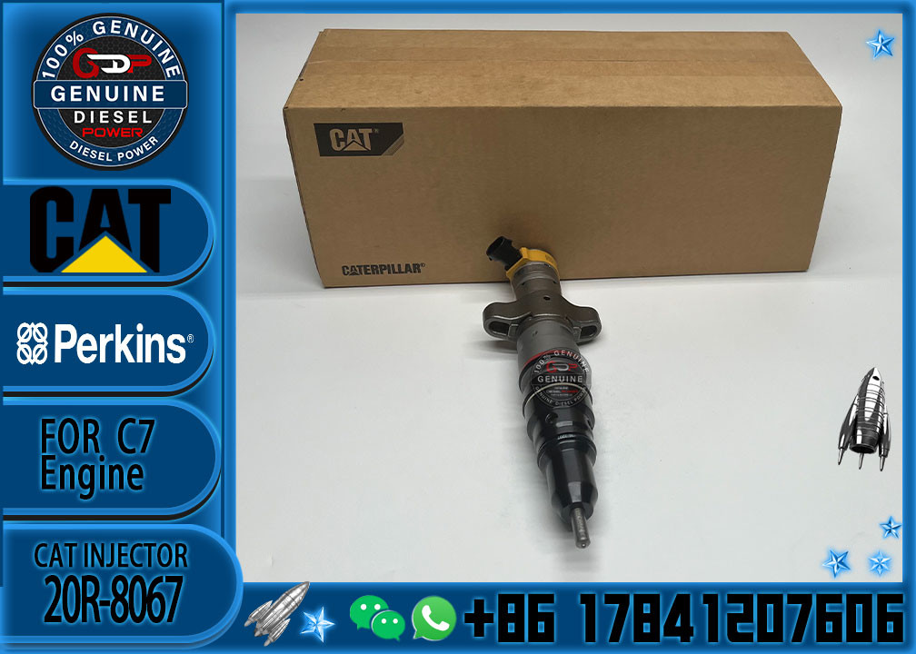 Diesel Engine Parts Common Rail Fuel Injector 20R-8067 for CAT C7 Diesel Engine CNDIP Factory price