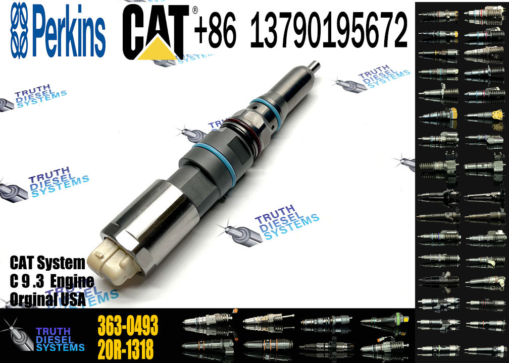 Fuel Injector 456-3493 367-4293 363-0493 324-5467 364-8024 171-9704 196-1401 222-5966