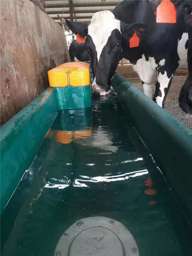 Cow Frost Proof Thermal 98KG Cattle Water Drinkers 560mm Heated Water Trough