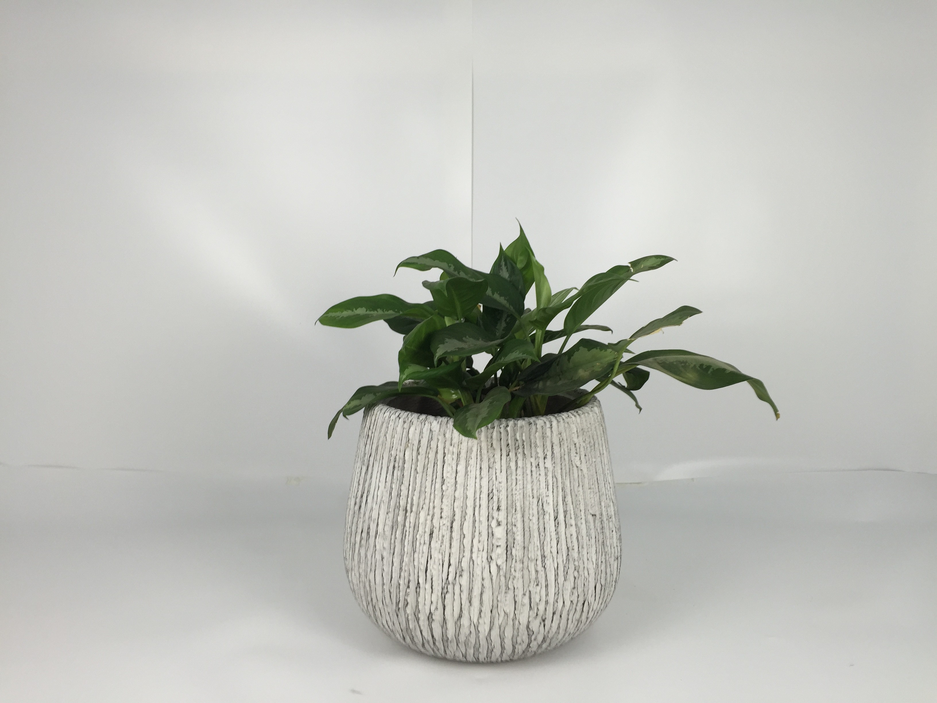 Outdoor Decor Fiber Clay Planters Durable And Stylish Designs