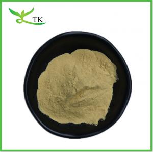 Quality Supply Houttuynia Cordata Extract Powder Houttuynia Cordata Powder for sale