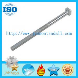 Special T bolt,Special T bolts,T type bolt,T type bolts,Steel T bolt,Steel T bolts,T bolts,stainless steel T head bolt