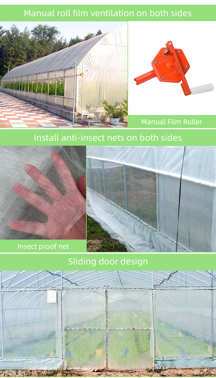 Galvanized Steel Pipe Frame Tunnel Greenhouse for Vegetables and Fruits