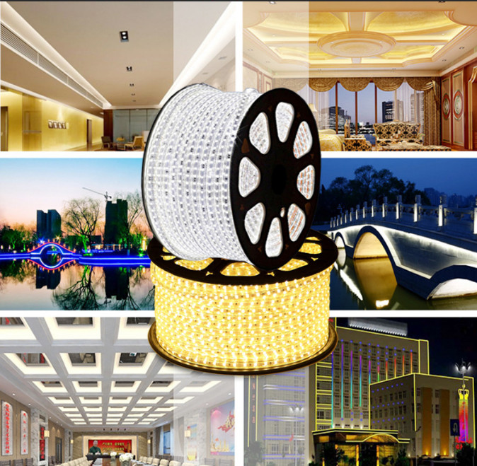 SMD2835 50m/ Roll Flexible Led Light Strip 220V Waterproof IP68 1500lm
