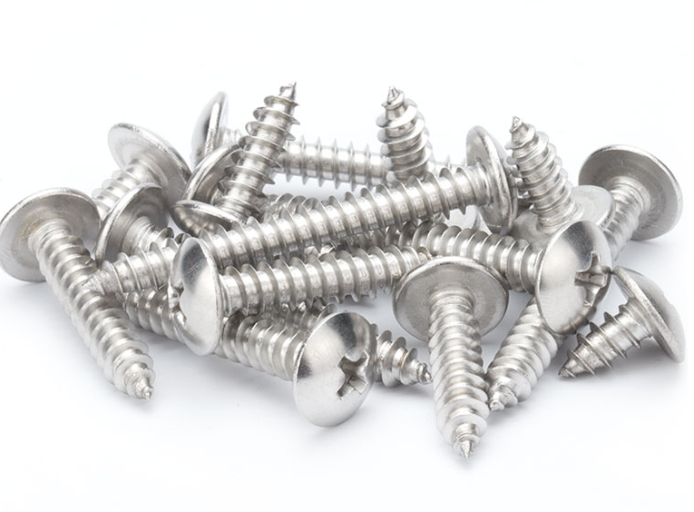 Metric Stainless Steel 304 Pan Head Tapping Screw Sheet Metal Screw with Cheese Head and Chrome Plated Finish Din 7981