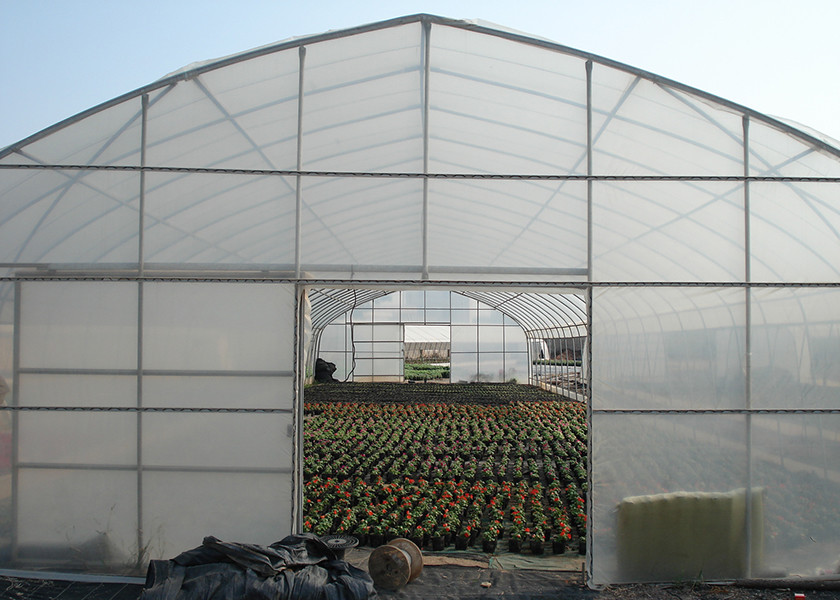 Spacious Single Span Greenhouse With 3.5-6m Height Anti Drip Film For Diverse Crops