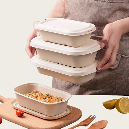 850ml Bagasse Takeaway Containers For Food Packaging In Restaurante