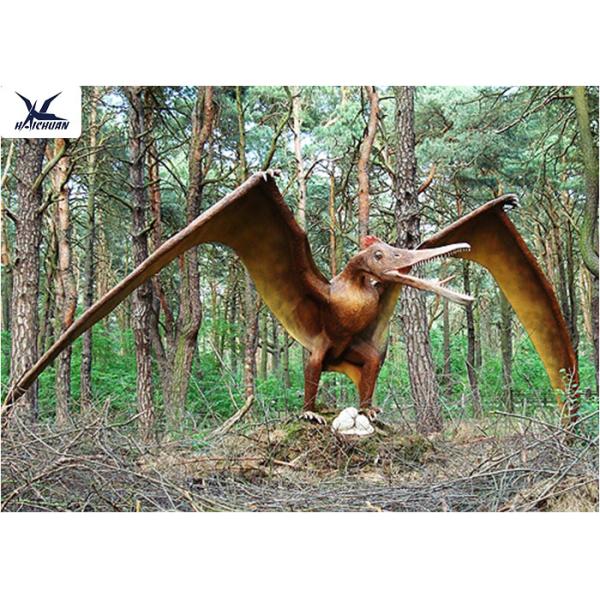Handmade / Assembling Pterosaurs Realistic Dinosaur Models Width 5 Meters