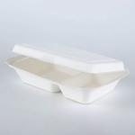 Biodegradable Disposable Sugarcane Bagasse Takeaway Food Container Packaging