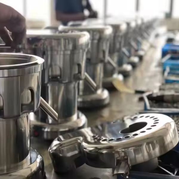 Customized Commercial Juicer with Pulp Retention Fruit and Vegetable Juicer Stainless Steel Industrial Juicer 220V 370W Apple Orange Pear Banana Fruit