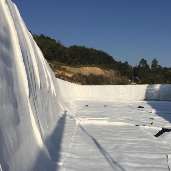 Good Water Permeability Simple Construction 3D Composite Drainage Geonet for Drainage