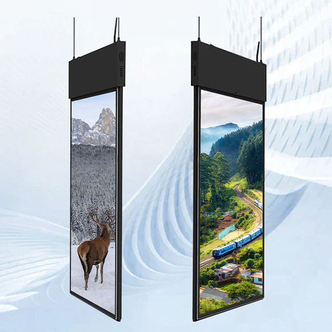 Commercial Transparent OLED Touch Screen Standalone Clear OLED