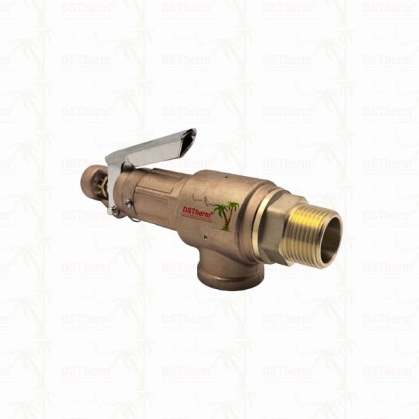 Brass Safety Valve 1/2"-2" Pipeline System Overpressure Protection Device Customized LOGO