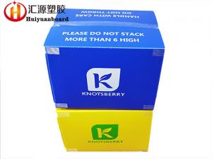 Quality Printable Collapsible Custom Corrugated Plastic Boxes for sale