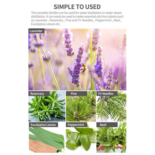 Automatic Grade Automatic Cold Pressed Essential Oil Making Machine for Plants Aromatic Oil Steam Distillation Plant